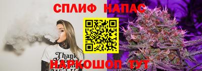 индика Наро-Фоминск