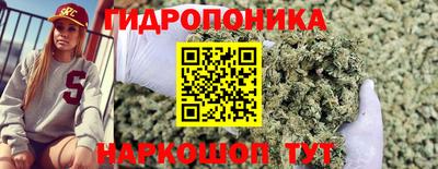 шишки Нальчик