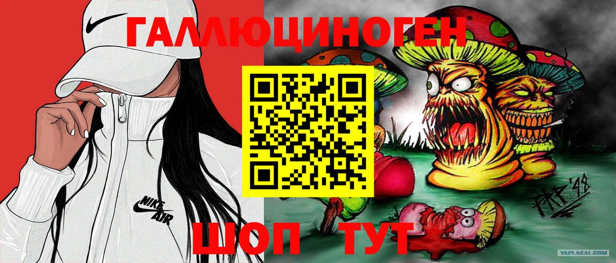 Галлюциногенные грибы Psilocybe Удомля
