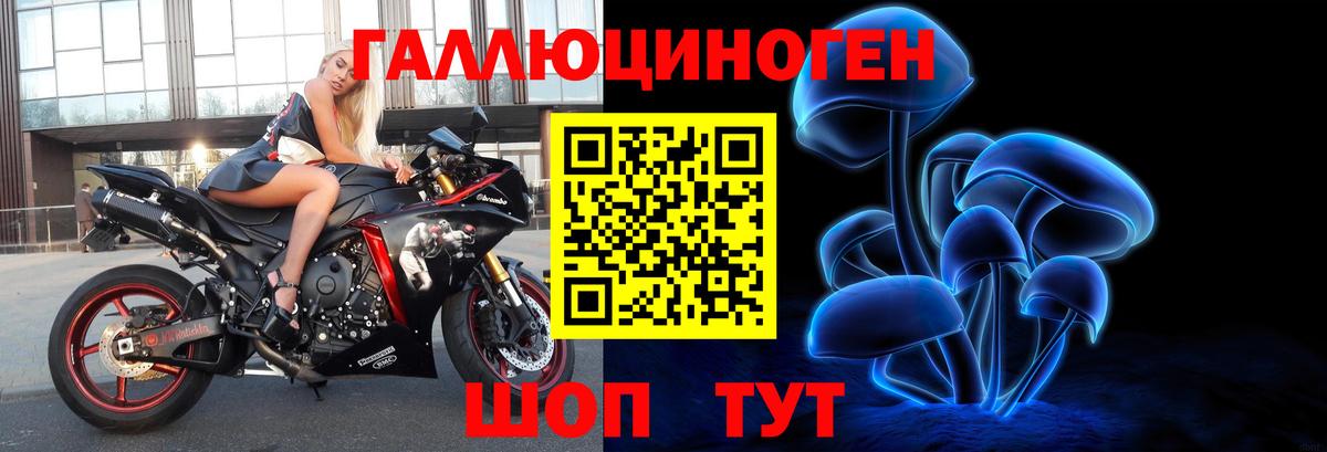 Удомля  Псилоцибиновые грибы прущие грибы  Псилоцибиновые грибы Cubensis  Вход с VPN 